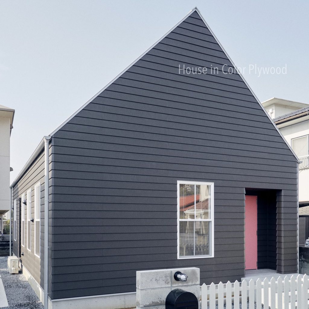 HOUSE IN COLOR PLYWOOD