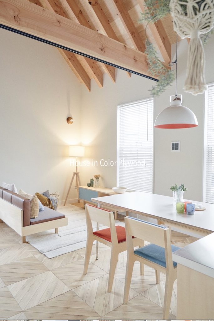 HOUSE IN COLOR PLYWOOD